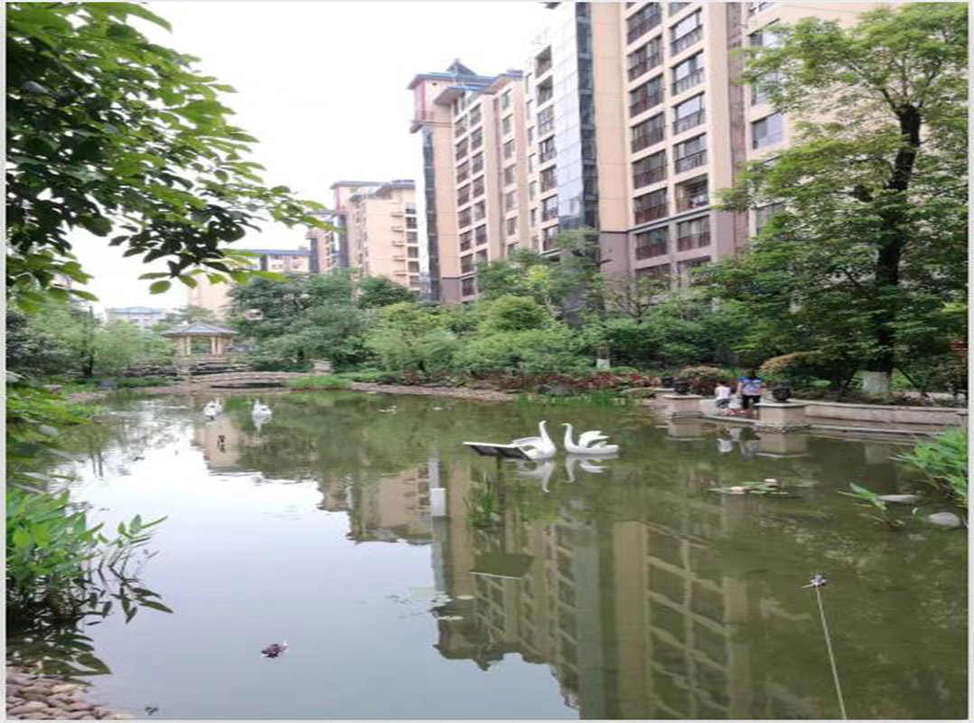 微信截图_20190819172106